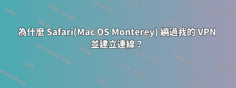 為什麼 Safari(Mac OS Monterey) 繞過我的 VPN 並建立連線？