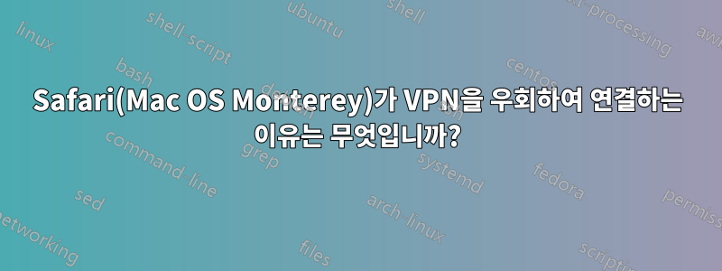 Safari(Mac OS Monterey)가 VPN을 우회하여 연결하는 이유는 무엇입니까?