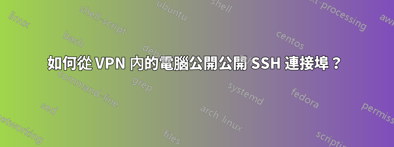 如何從 VPN 內的電腦公開公開 SSH 連接埠？