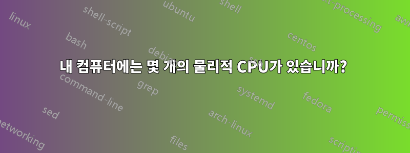 내 컴퓨터에는 몇 개의 물리적 CPU가 있습니까?