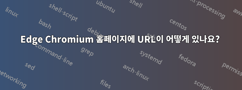 Edge Chromium 홈페이지에 URL이 어떻게 있나요?