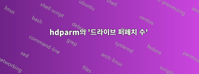 hdparm의 '드라이브 퍼페치 수'