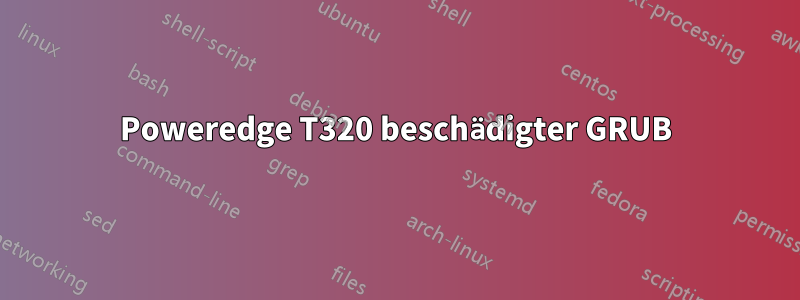 Poweredge T320 beschädigter GRUB