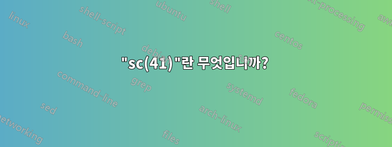 "sc(41)"란 무엇입니까?