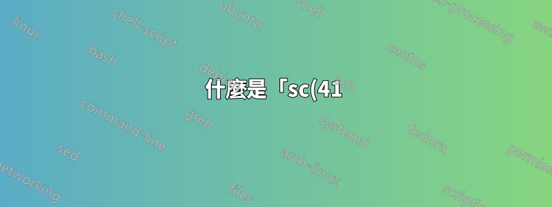什麼是「sc(41)」?