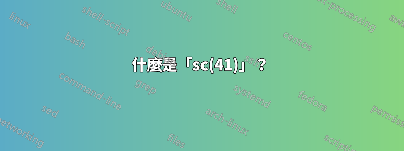 什麼是「sc(41)」？