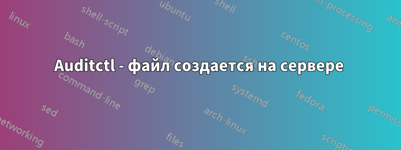 Auditctl - файл создается на сервере