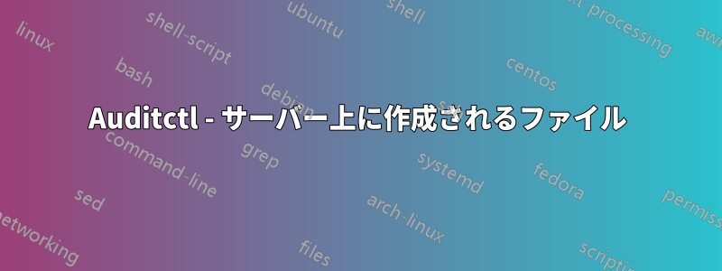 Auditctl - サーバー上に作成されるファイル