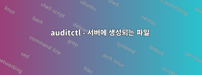 auditctl - 서버에 생성되는 파일