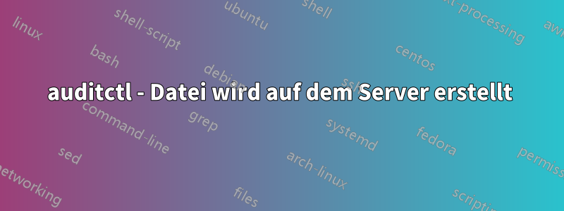 auditctl - Datei wird auf dem Server erstellt