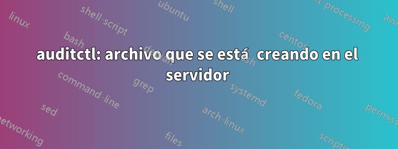 auditctl: archivo que se está creando en el servidor