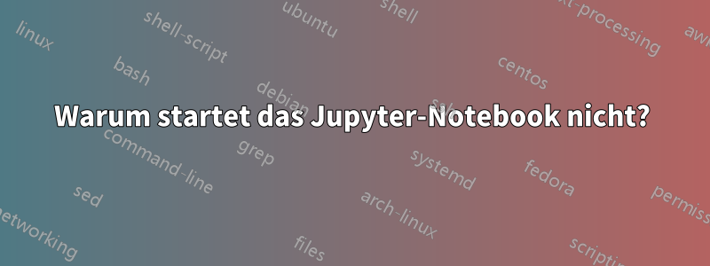 Warum startet das Jupyter-Notebook nicht?