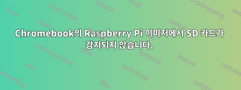 Chromebook의 Raspberry Pi 이미저에서 SD 카드가 감지되지 않습니다.