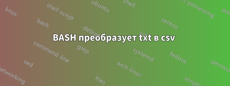 BASH преобразует txt в csv