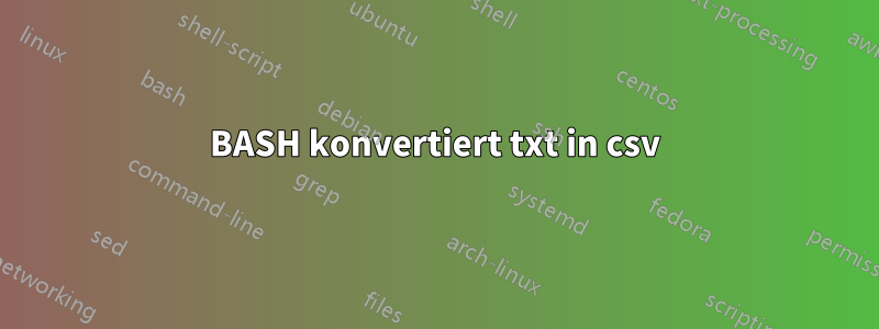 BASH konvertiert txt in csv