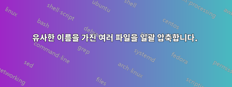 유사한 이름을 가진 여러 파일을 일괄 압축합니다.