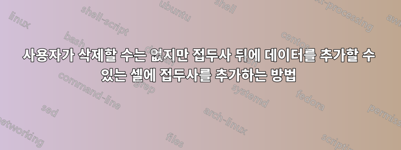 사용자가 삭제할 수는 없지만 접두사 뒤에 데이터를 추가할 수 있는 셀에 접두사를 추가하는 방법