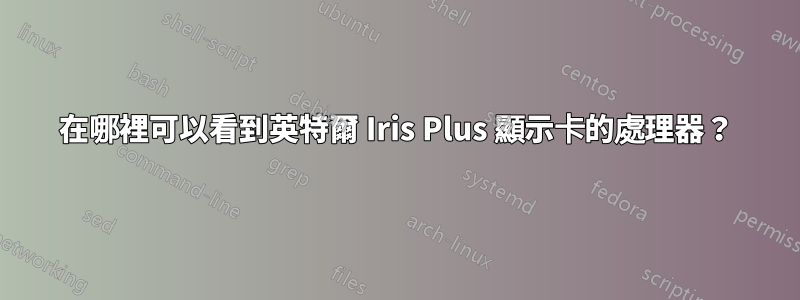 在哪裡可以看到英特爾 Iris Plus 顯示卡的處理器？