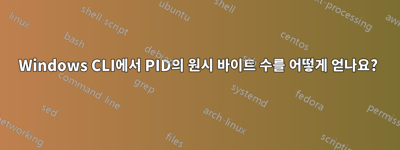 Windows CLI에서 PID의 원시 바이트 수를 어떻게 얻나요?