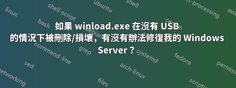 如果 winload.exe 在沒有 USB 的情況下被刪除/損壞，有沒有辦法修復我的 Windows Server？