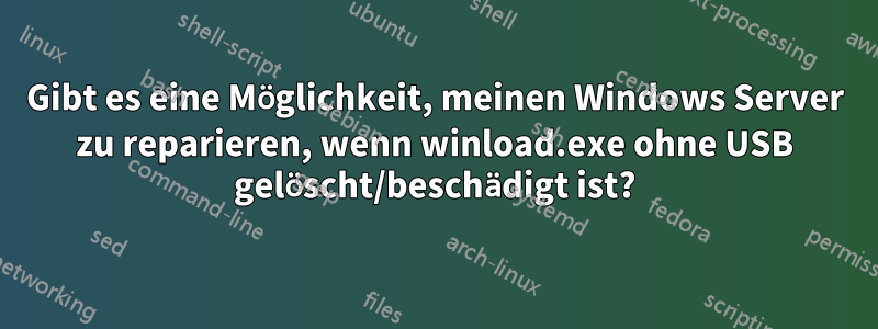 Gibt es eine Möglichkeit, meinen Windows Server zu reparieren, wenn winload.exe ohne USB gelöscht/beschädigt ist?