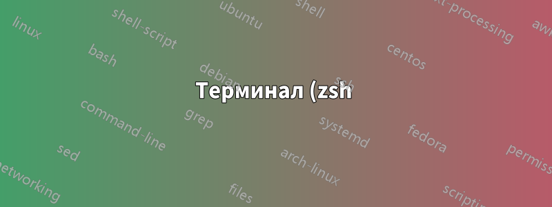 Терминал (zsh) приглашение не отображается