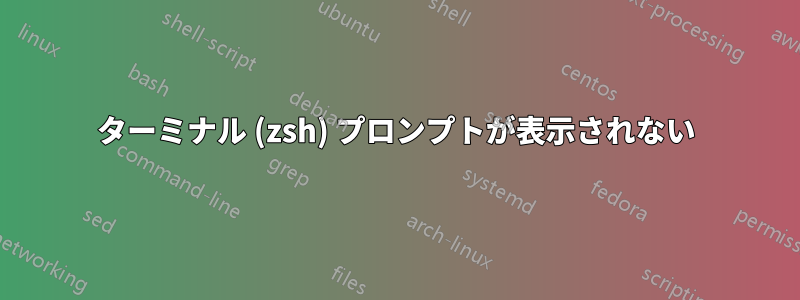 ターミナル (zsh) プロンプトが表示されない