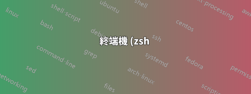 終端機 (zsh) 提示未顯示