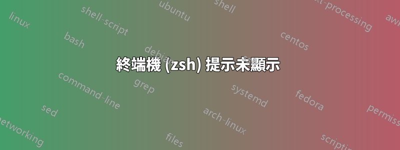 終端機 (zsh) 提示未顯示