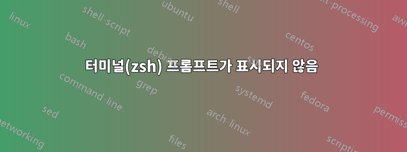 터미널(zsh) 프롬프트가 표시되지 않음