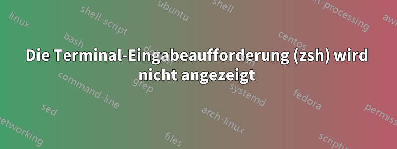 Die Terminal-Eingabeaufforderung (zsh) wird nicht angezeigt