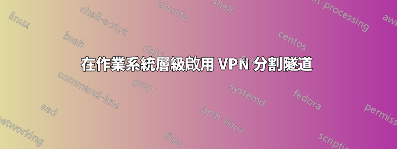 在作業系統層級啟用 VPN 分割隧道