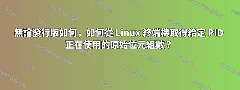 無論發行版如何，如何從 Linux 終端機取得給定 PID 正在使用的原始位元組數？