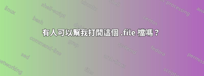 有人可以幫我打開這個 .file 檔嗎？