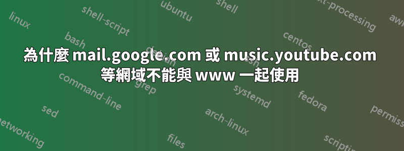 為什麼 mail.google.com 或 music.youtube.com 等網域不能與 www 一起使用