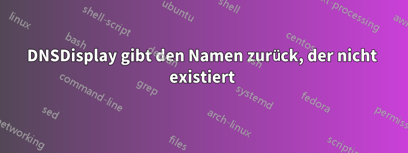 DNSDisplay gibt den Namen zurück, der nicht existiert