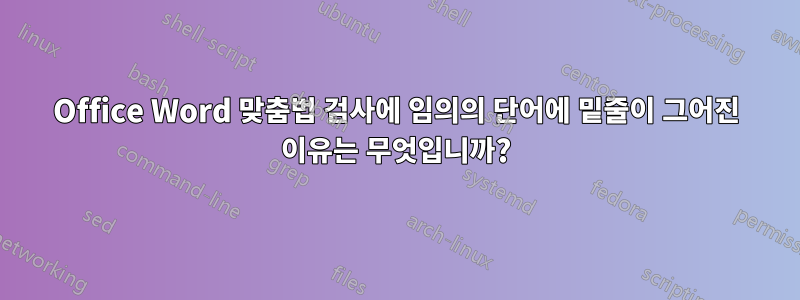 Office Word 맞춤법 검사에 임의의 단어에 밑줄이 그어진 이유는 무엇입니까?