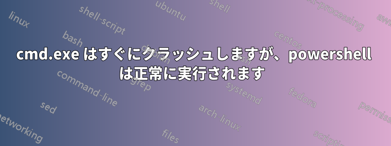 cmd.exe はすぐにクラッシュしますが、powershell は正常に実行されます 