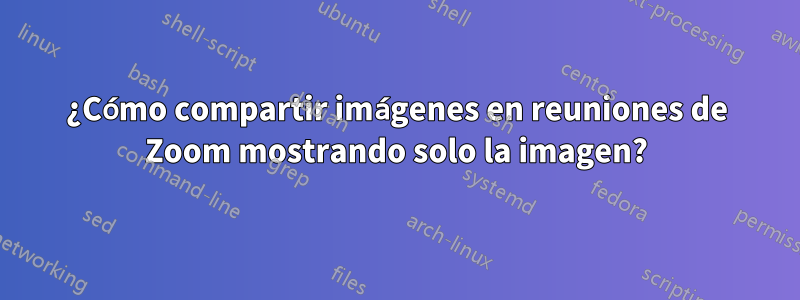 ¿Cómo compartir imágenes en reuniones de Zoom mostrando solo la imagen?