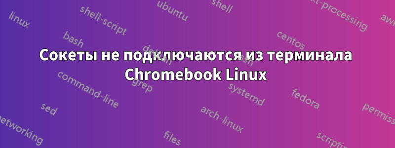 Сокеты не подключаются из терминала Chromebook Linux