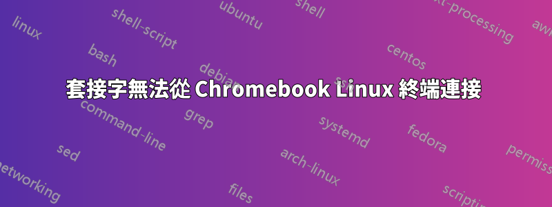 套接字無法從 Chromebook Linux 終端連接