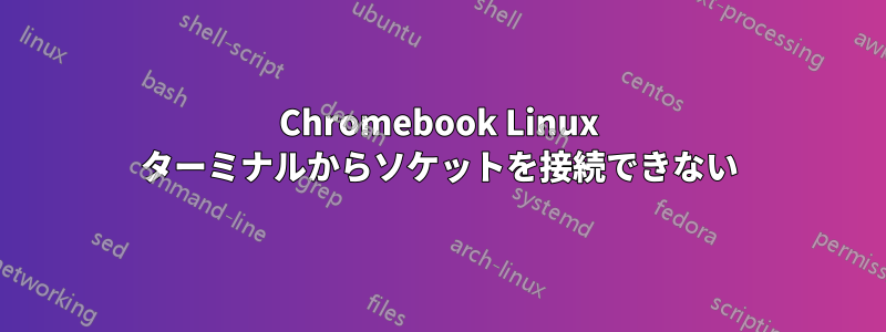 Chromebook Linux ターミナルからソケットを接続できない