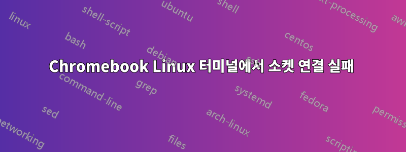 Chromebook Linux 터미널에서 소켓 연결 실패