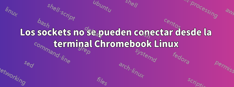 Los sockets no se pueden conectar desde la terminal Chromebook Linux