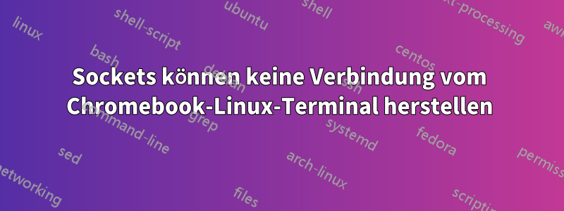 Sockets können keine Verbindung vom Chromebook-Linux-Terminal herstellen