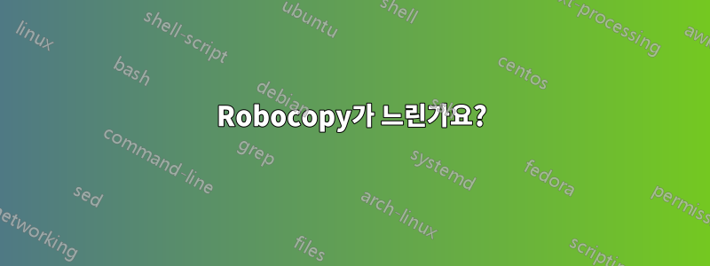 Robocopy가 느린가요?