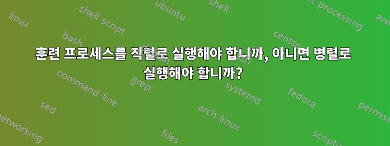 훈련 프로세스를 직렬로 실행해야 합니까, 아니면 병렬로 실행해야 합니까?