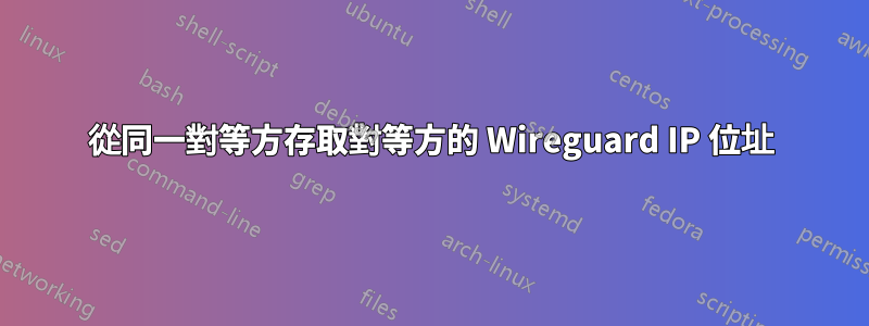 從同一對等方存取對等方的 Wireguard IP 位址