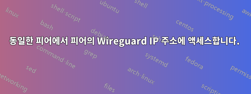 동일한 피어에서 피어의 Wireguard IP 주소에 액세스합니다.