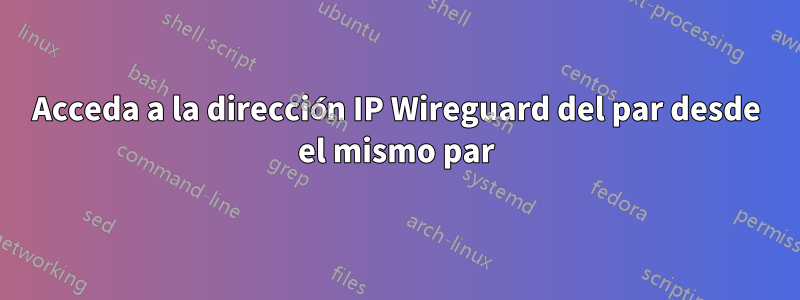 Acceda a la dirección IP Wireguard del par desde el mismo par